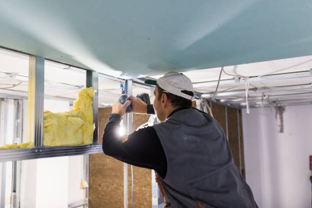 Best Residential Insulation in Tecumseh, MI