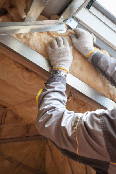 Best Insulation Installation Services in Tecumseh, MI